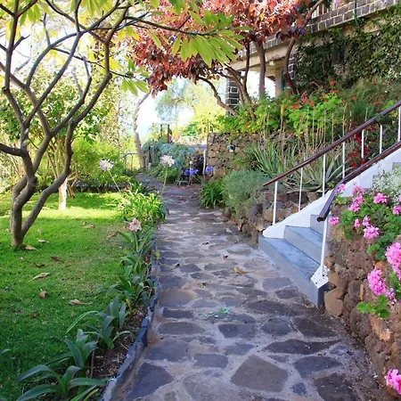 Charming In Funchal, Sea View * Funchal (Madeira)