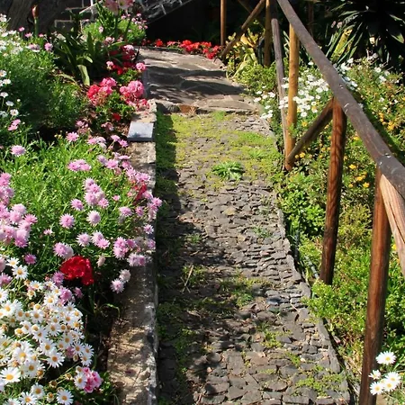 Holiday home Charming In Funchal, Sea View