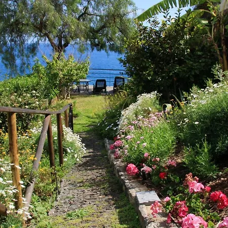 Charming In Funchal, Sea View * Funchal (Madeira)