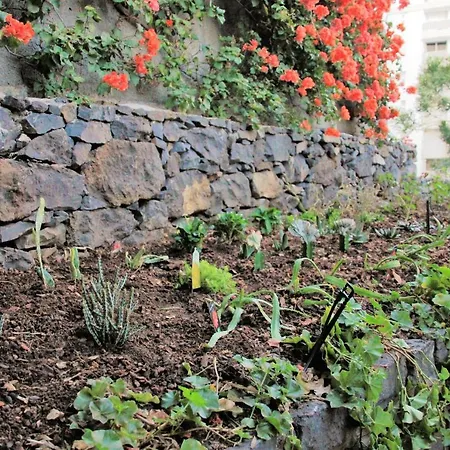 Charming In Funchal, Sea View Holiday home