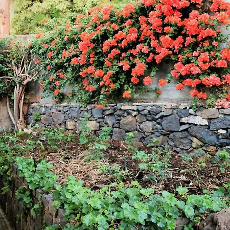 Charming In Funchal, Sea View